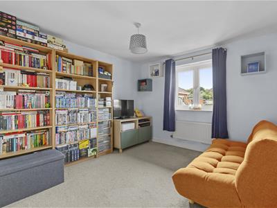 Picture 11
